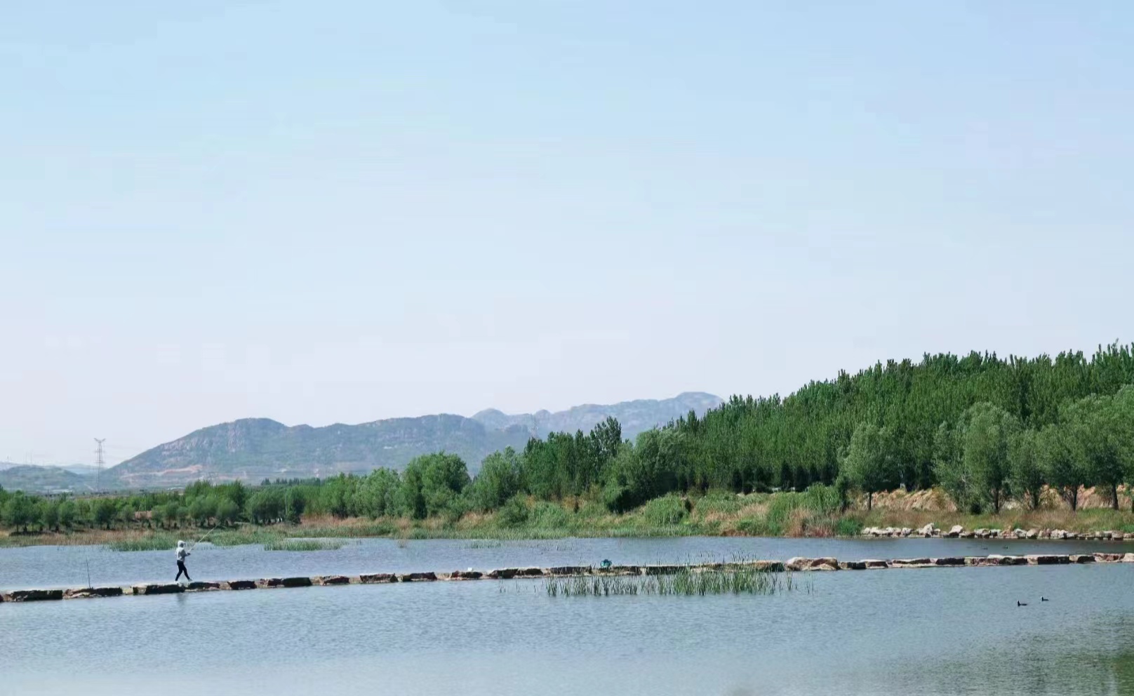 職工園地 ▏2022六五環(huán)境日-精彩攝影作品展播（一）